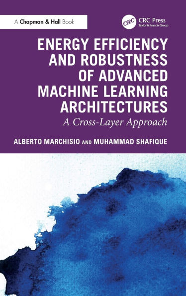 Energy Efficiency and Robustness of Advanced Machine Learning Architectures: A Cross-Layer Approach