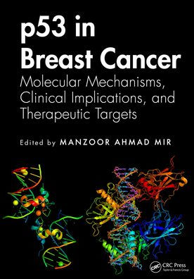 p53 Breast Cancer: Molecular Mechanisms, Clinical Implications, and Therapeutic Targets