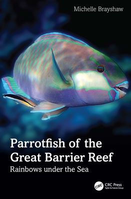 Parrotfish of the Great Barrier Reef: Rainbows under Sea