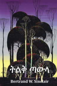 Title: ትልቅ ጣውላ: Big Timber, Amharic edition, Author: Bertrand W Sinclair