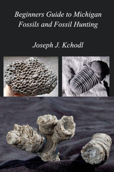 Beginners Guide to Michigan Fossils and Fossil Hunting