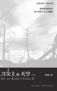 Title: 刀尖上的天空（下）, Author: 黄翔