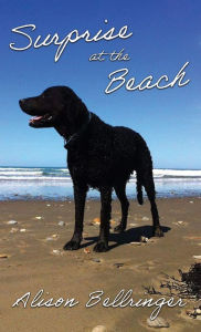 Title: Surprise at the Beach, Author: Alison Bellringer