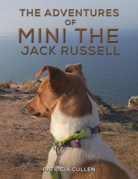 the Adventures of Mini Jack Russell