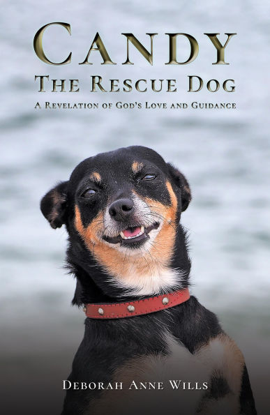 Candy the Rescue Dog: A Revelation of God's Love and Guidance