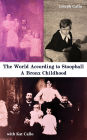The World According to Stoopball: A Bronx Childhood