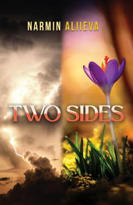 Textbook downloads pdf Two Sides English version PDF CHM 9781035896561