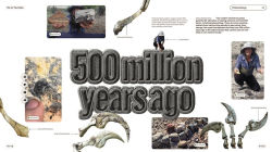 Alternative view 3 of Untitled Abrams Distribution