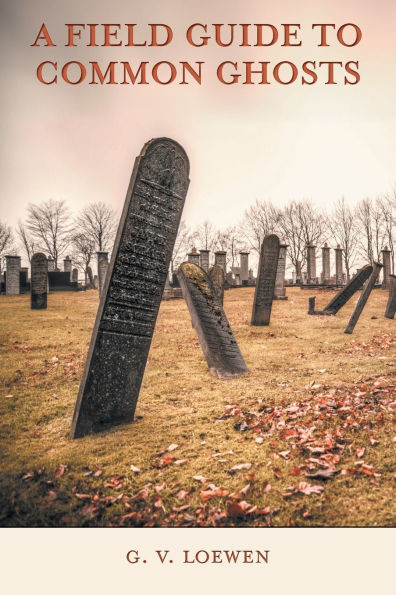 A Field Guide to Common Ghosts