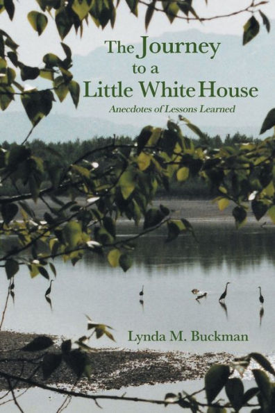 The Journey to a Little White House: Anecdotes of Lessons Learned
