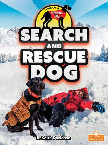 Search and Rescue Dog