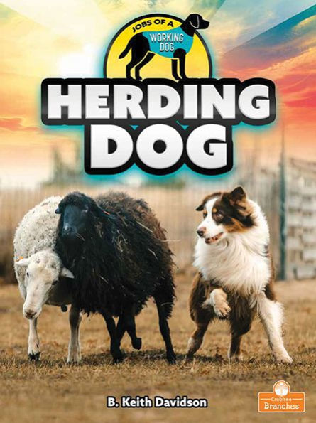 Herding Dog