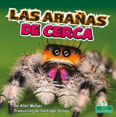 Las aranas de cerca (Spiders Up Close)