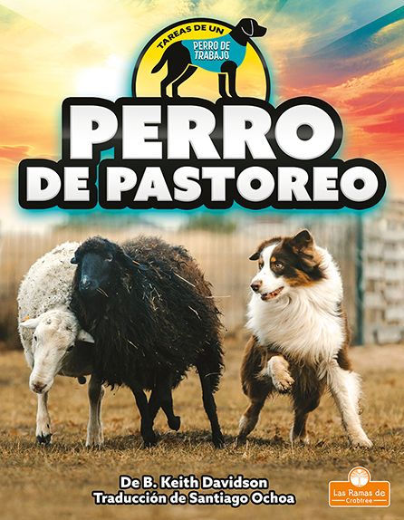 Perro de pastoreo (Herding Dog)