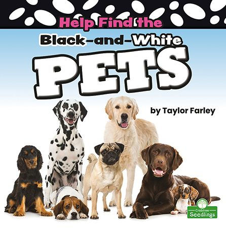 Help Find the Black-and-White Pets