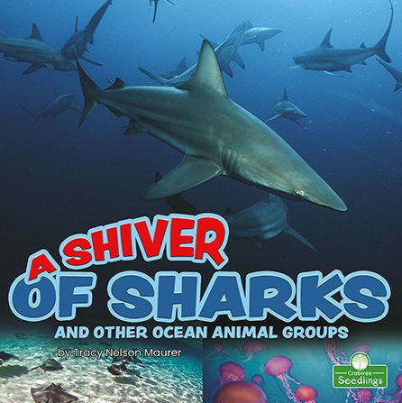 A Shiver of Sharks and Other Ocean Animal Groups