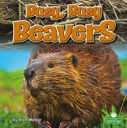 Busy, Busy Beavers