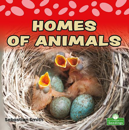 Homes of Animals