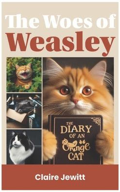 The Woes of Weasley: The Diary of an Orange Cat