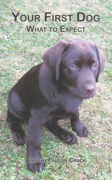 Your First Dog: What to Expect