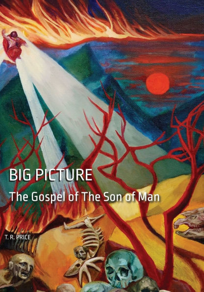 BIG PICTURE - Large Print: The Gospel of The Son of Man