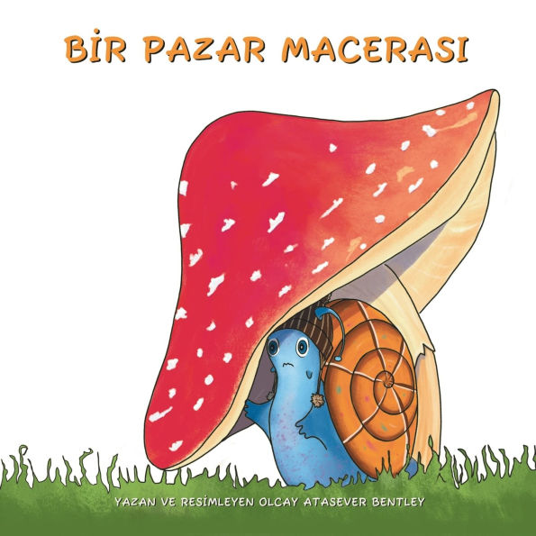 Bİr Pazar Macerasi