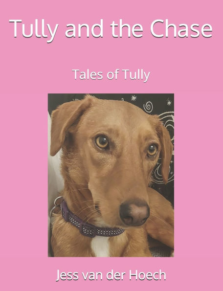 Tully and the Chase