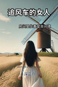 Title: 追风车的女人房间里住着堂吉诃德, Author: Shenlan Bai