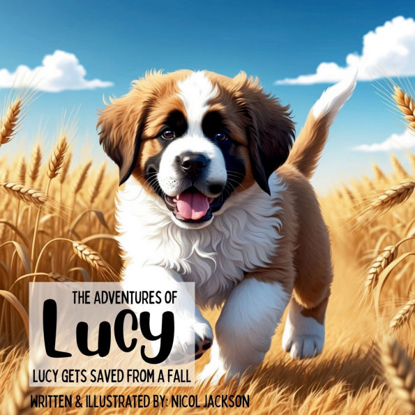 The Adventures of Lucy - Gets Saved From a Fall