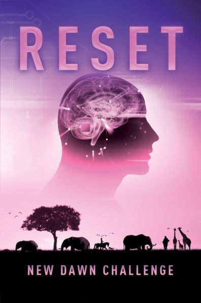 New Dawn: Reset