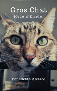 Title: Gros chat : mode d'emploi, Author: Benedetta Alciato