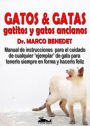 Gatos, Gatas, Gatitos Y Gatos Ancianos