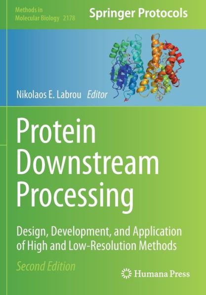 Protein Downstream Processing: Design, Development, and Application of High Low-Resolution Methods