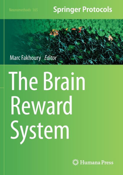The Brain Reward System