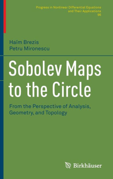 Sobolev Maps to the Circle: From Perspective of Analysis, Geometry, and Topology