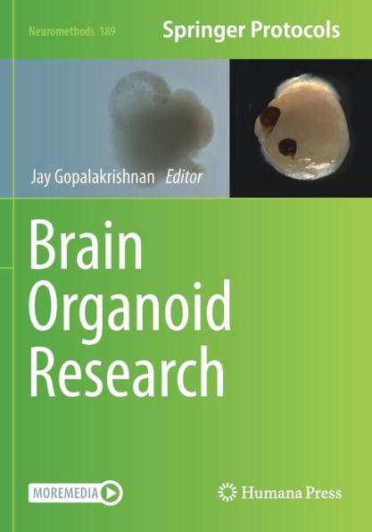 Brain Organoid Research