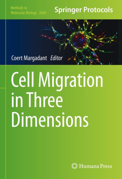 Cell Migration in Three Dimensions by Coert Margadant, Hardcover ...