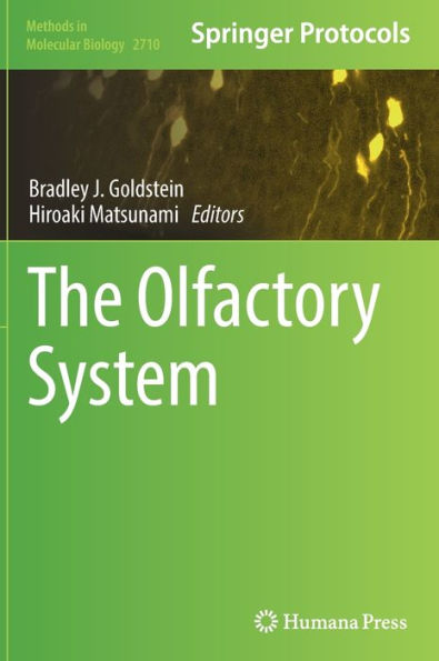 The Olfactory System