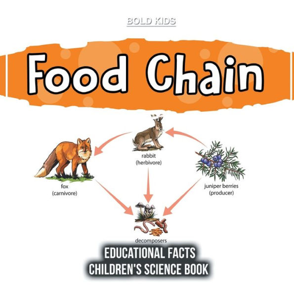 Food Chain Educational Facts Children's Science Book by Bold Kids ...