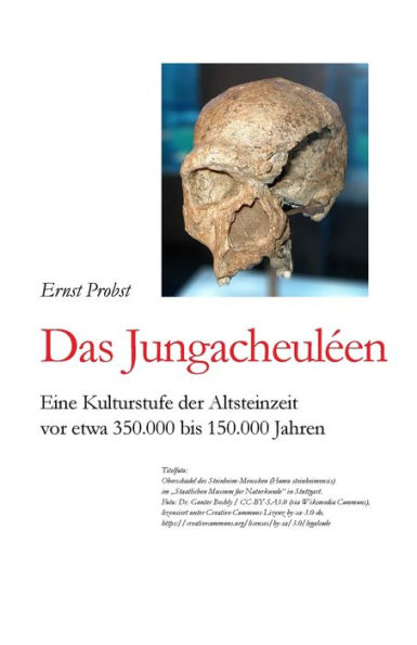 Das Jungacheulï¿½en: Eine Kulturstufe der Altsteinzeit vor etwa 350.000 bis 150.000 Jahren