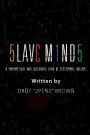 Slaves Minds: A Mathematical and Scientific Look at Systematic Racism