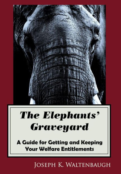 The Elephants' Graveyard: A Guide for Getting and Keeping Your Welfare Entitlements: