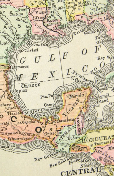 Gulf of Mexico Journal