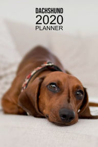 Title: Dachshund Planner: 2020 diary: Increase productivity, improve time management, reach your goals: Sleepy brown Dachshund dog cover, Author: Pampered Pooch Stationery