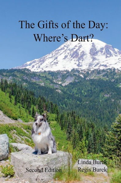 The Gifts of the Day: Where's Dart?: