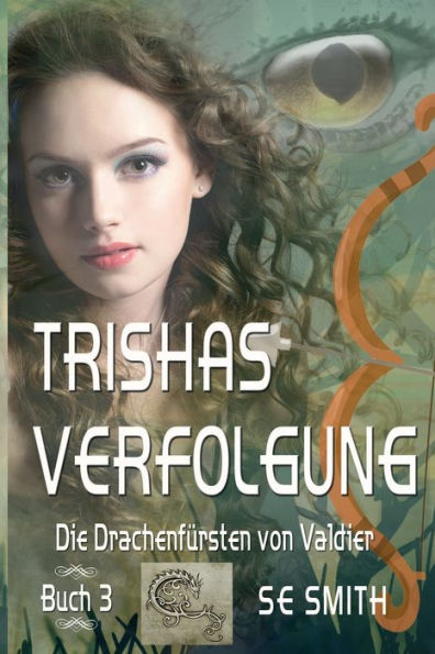 Trishas Verfolgung: Die Drachenfï¿½rsten von Valdier Buch 3