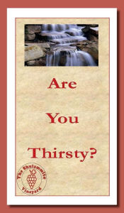 Title: Are You Thirsty?: Do You Need Living Water?, Author: The Shulammite