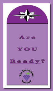 Title: Are You Ready?: The Divine Romance, Author: The Shulammite