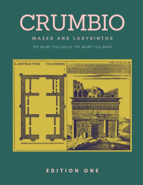 Crumbio Mazes and Labyrinths: The more you solve the more you want . Brain Games for Adults