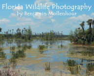 Title: Florida Wildlife Photography, Author: Benjamin Mollenhour